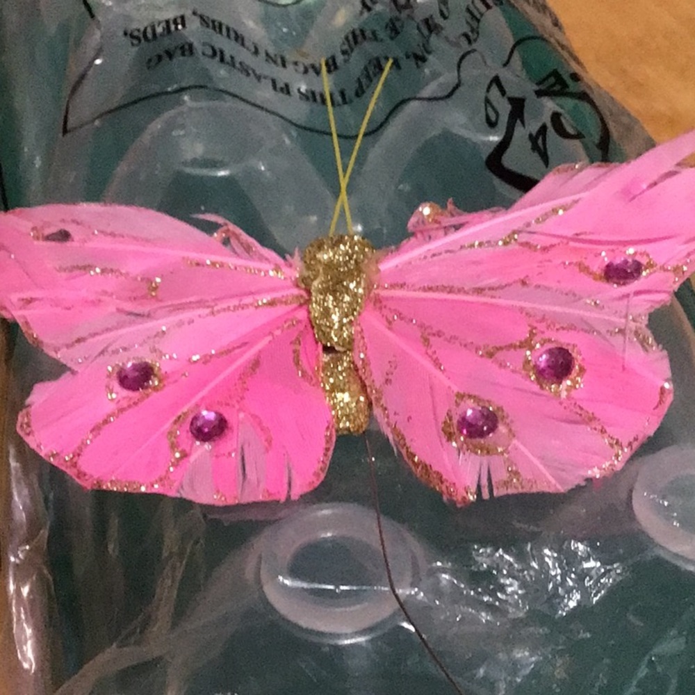 Lock and Lock Egg Container